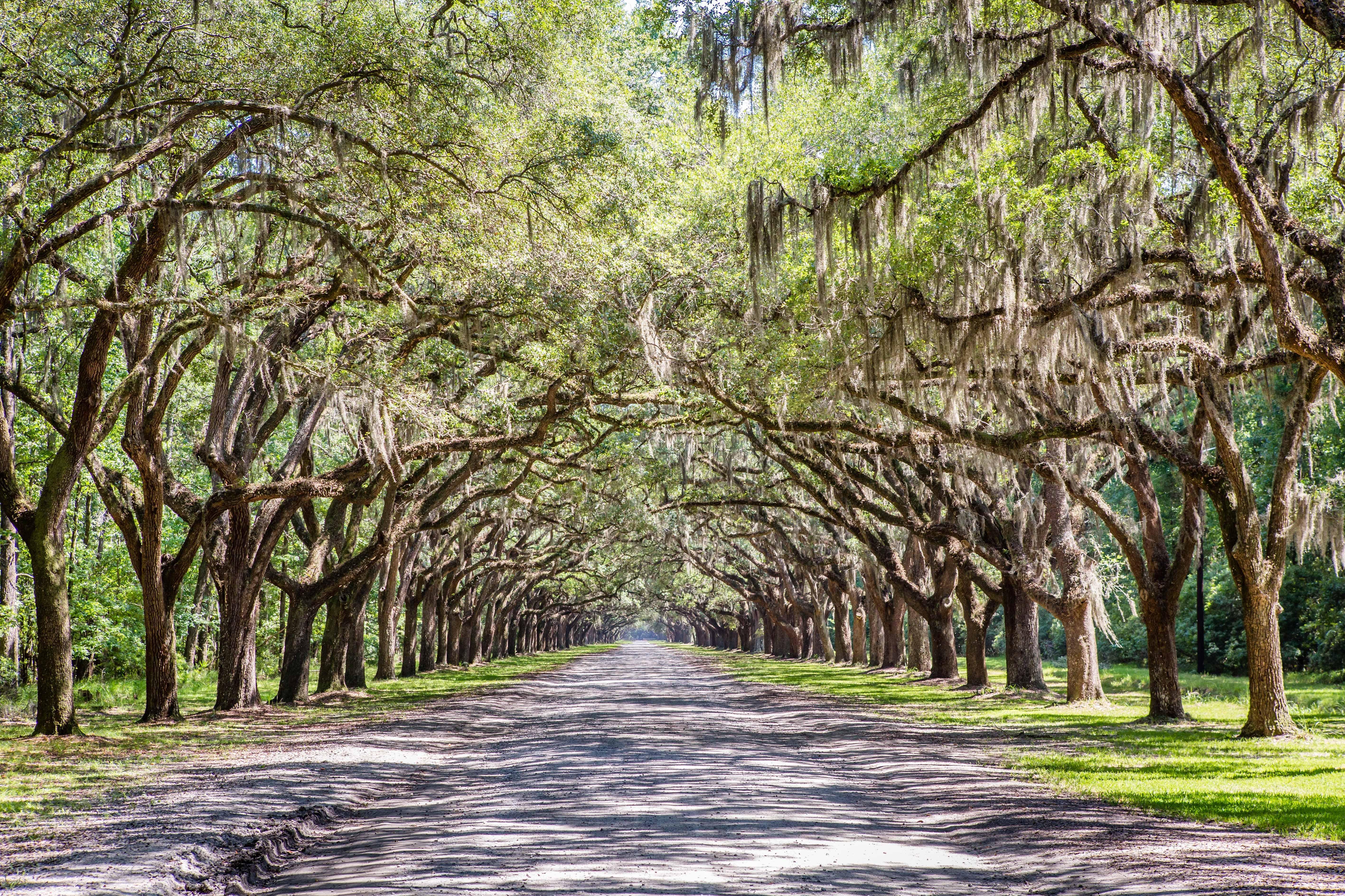 Holiday Inn Savannah Historic District By Ihg Exterior foto